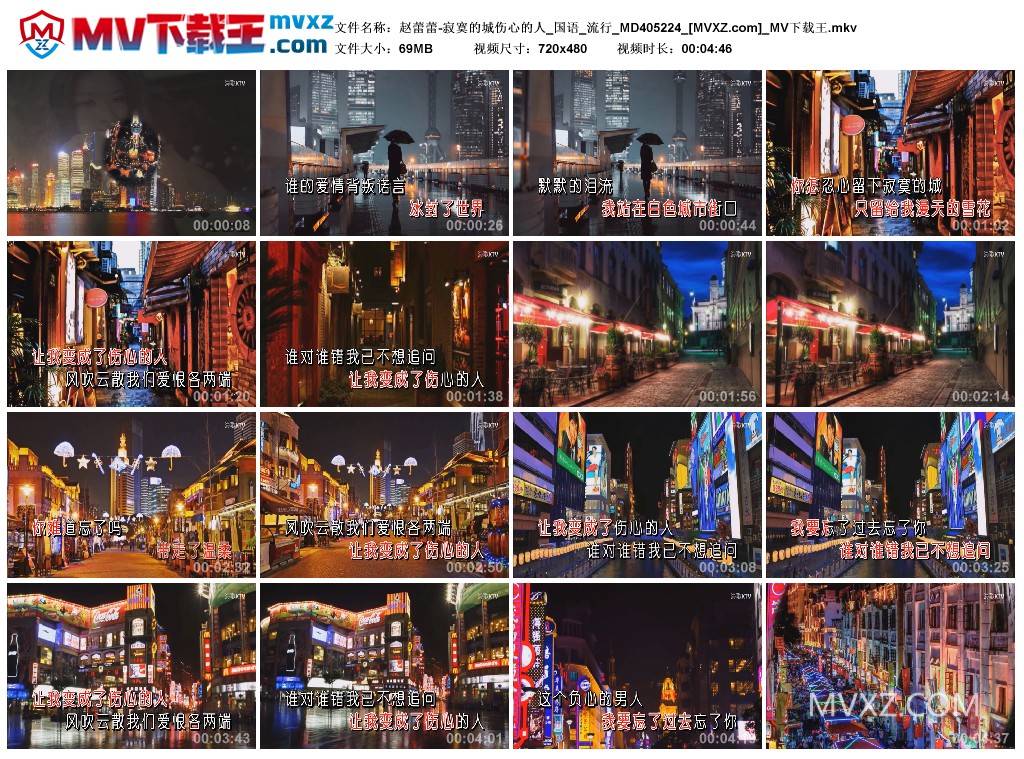 赵蕾蕾-寂寞的城伤心的人_国语_流行_MD405224